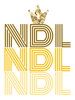 NDL                  (16).png