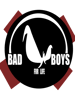 bad boys for life         .png