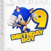 sonic the hedgehog birthday decorations.jpeg