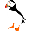 Farne Island Puffin 2  .png