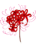 Red Spider Lily.png