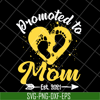 MTD16042139-Promoted to mom est 2021 svg, Mother's day svg, eps, png, dxf digital file MTD16042139.jpg