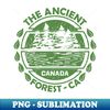CW-34139_The Ancient Forest Canada Nature Landscape 7498.jpg