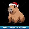 NF-8141_Capybara Christmas Happy Capybara on Christmas 5666.jpg