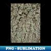 NB-10329_Tree bark and lichen texture 4378.jpg