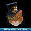 NO-55653_Orange Cat with Steampunk Hat and Monocle 7091.jpg