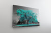 Large Teal Tree Canvas Modern Wall Art Painting Home Decor,Framed,Gallery Wrapped,Ready to Hang.jpg