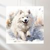 Samoyed - Samoyed portrait, Art print, Dog Samoyed painting, Watercolor dog art, Pet loss, Dog owner gift, Samoyed dog, Watercolor Samoyed.jpg