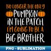 Big Brother Fall Pregnancy Announcement Halloween - Stylish Sublimation Digital Download