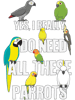 Need All These Parrots.png