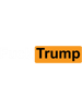 Fuck Trump - Anti-Trump Logo.png