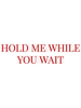 Lewis Capaldi- Hold Me While You Wait.png