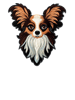 Papillon Dog, Iron on Patch, Embroidered.png