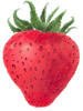 Strawberry .png