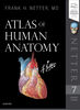 Atlas of Human Anatomy, 7th edition.JPG