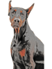 natural ear doberman(13).png