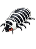 dairy cow isopod with red face.png