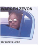 Warren (1).png