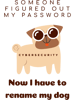 Someone figured out my passwordCybersecurity AwarenessFunny DogPasswordT-Shir.png
