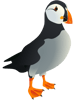 Little Atlantic Puffin.png