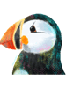 Puffin (1).png
