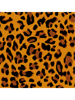 Beautiful decorations.Leopard Skin pattern  .png