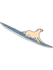 dog on surfboard  .png