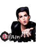 Extra Ordinary art Design of American Legend Rock Music Singer Adam Lambert Freddie Mercury Queen Ba  .png