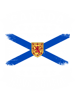 Canada Nova Scotia Flag - Vintage  .png