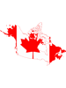 Happy Canada day      .png