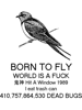 born to fly - explicit       .png