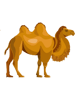 Camel - Animal Lovers    .png