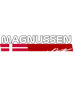 Kevin Magnussen F1  .png