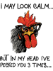 Funny Chicken Rooster May Look Calm But Pecked You 3 Times 21.png