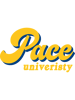 pace university - fancy cursive font.png