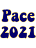 pace university class of 2021.png