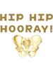 Hip Bone Pun .png