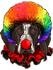 Dog German Shorthaired Pointer Clown Dog Circus 86.png