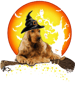 Dog Cocker Spaniel Baby Halloween Dog Lovers 684 paw.png