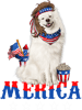 Dog Samoyed Merica Samoyed 4th of July Men Women American Flag Patriotic.png