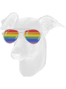 Dog Grayhound Pride Month Italian greyhound Rainbow Flag.png