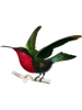 Vintage Garnet Hummingbird Bird Illustration Men And Women.png