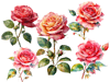 Rose SVG.png