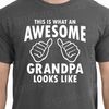 Grandpa TShirt- This is What An Awesome Grandpa Looks Like - Fathers Day Gift for grandpa, Christmas Gift for Grandpa, Funny Gift t shirt.jpg