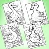 Cute Duck Coloring Pages 3.jpg