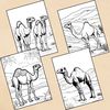 Camel Coloring Pages 2.jpg