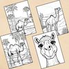 Camel Coloring Pages 4.jpg
