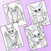 Bat Coloring Pages 4.jpg