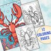 Lobster Coloring Pages 1.jpg