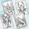 Lobster Coloring Pages 4.jpg